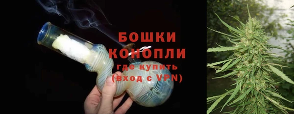 твердый Осинники