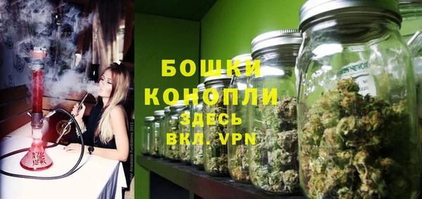 твердый Осинники