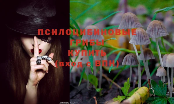 не бодяженный Остров