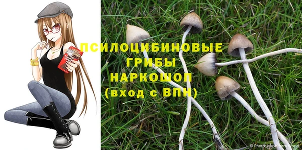 твердый Осинники