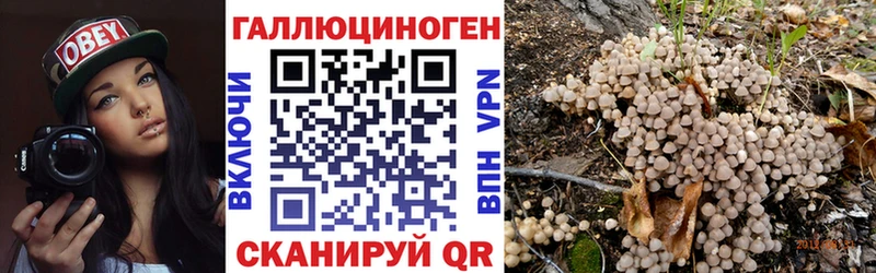 закладка  Бодайбо  Галлюциногенные грибы GOLDEN TEACHER 