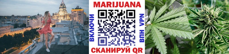 Шишки марихуана планчик  купить наркоту  Бодайбо 